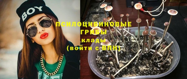 стаф Карпинск