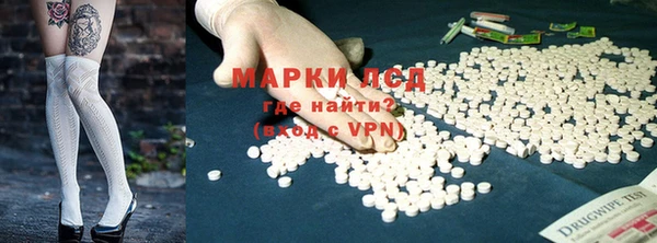 стаф Карпинск