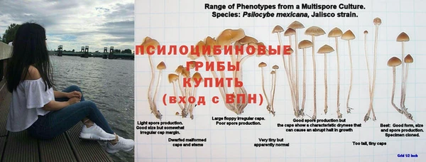 кристаллы Карталы